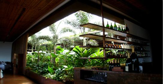 Bar do restaurante Amado - Ambiente interno - Onde Comer em Salvador Blog de Gastronomia