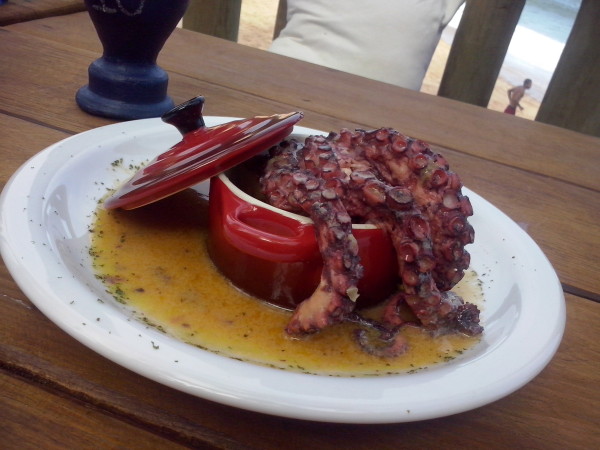 Polvo com Caju do Blue Praia Bar - Onde Comer em Salvador Blog de Gastronomia