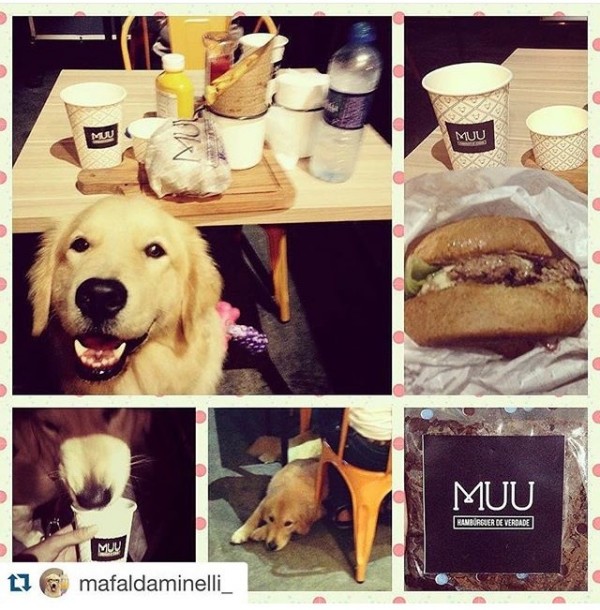 Restaurantes pet friendly em Salvador MUU Hamburgueria - Onde Comer em Salvador Blog de Gastronomia