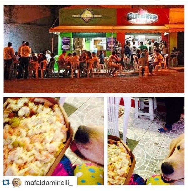 Restaurantes pet friendly em Salvador Buona Pizza - Onde Comer em Salvador Blog de Gastronomia