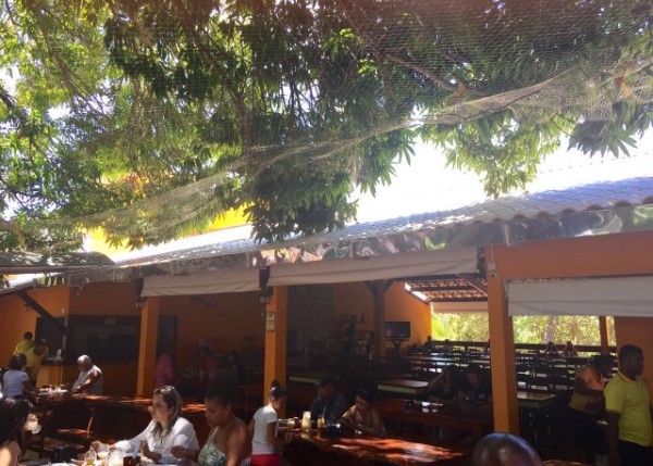 Sombra da Mangueira - Onde Comer em Salvador Blog de Gastronomia